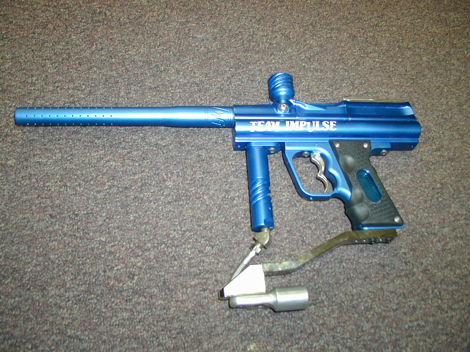 blueflyangel.jpg